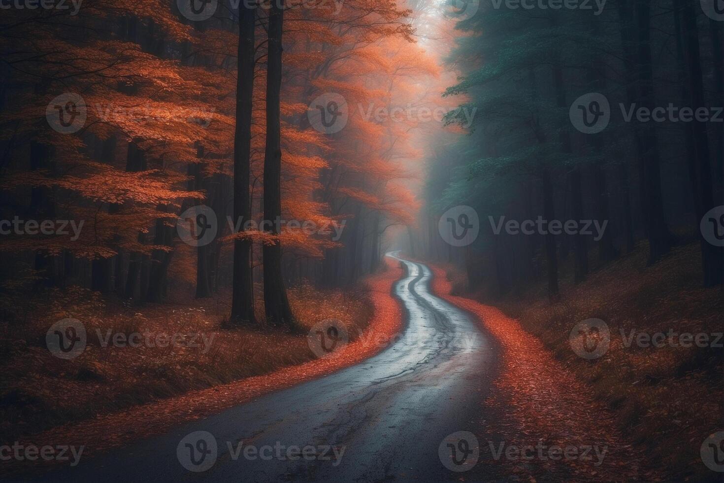 A road in the middle of an autumn forest photo