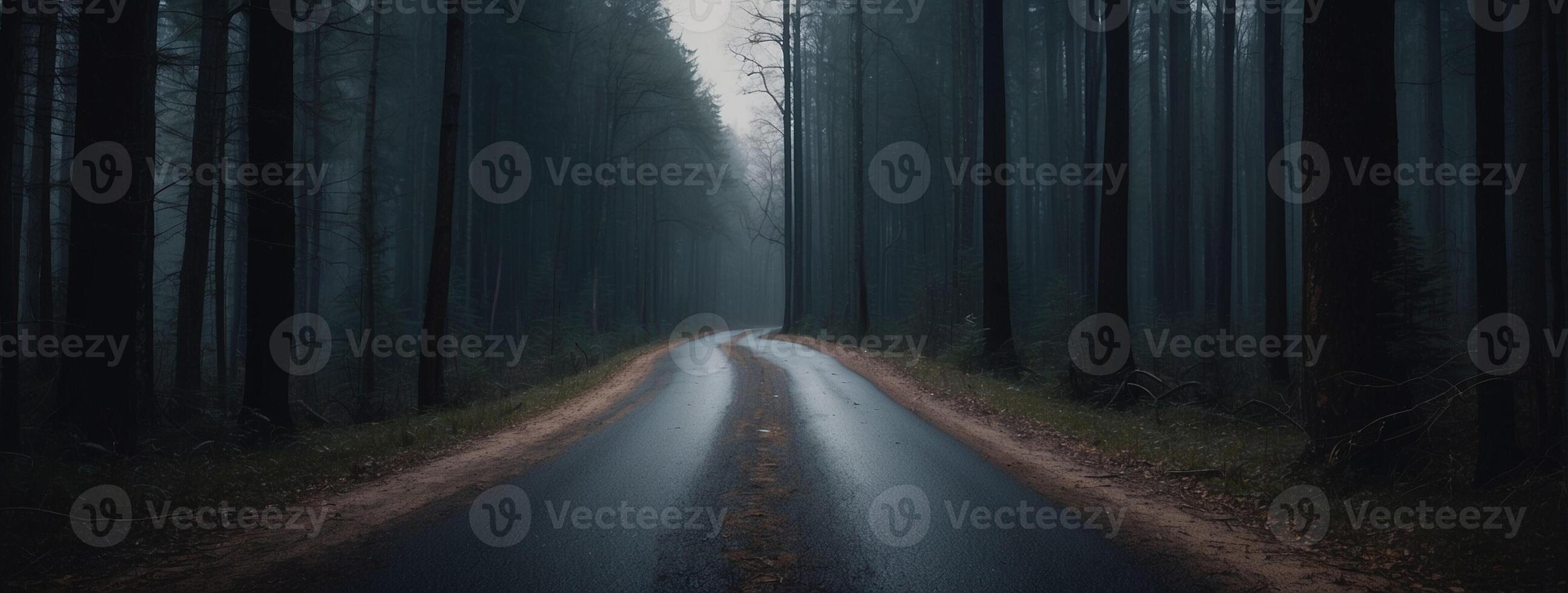 A long road in the middle of a dark forest photo