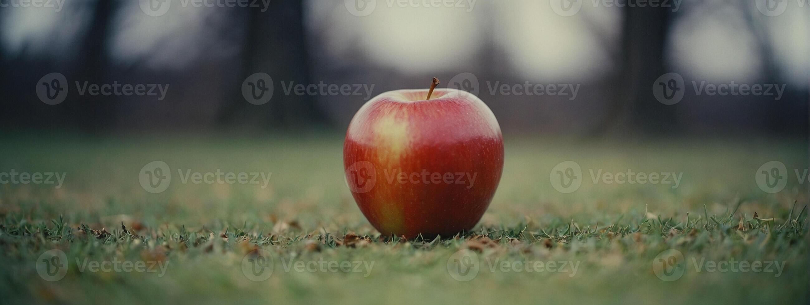 An apple sitting on the grass in the middle of a field photo