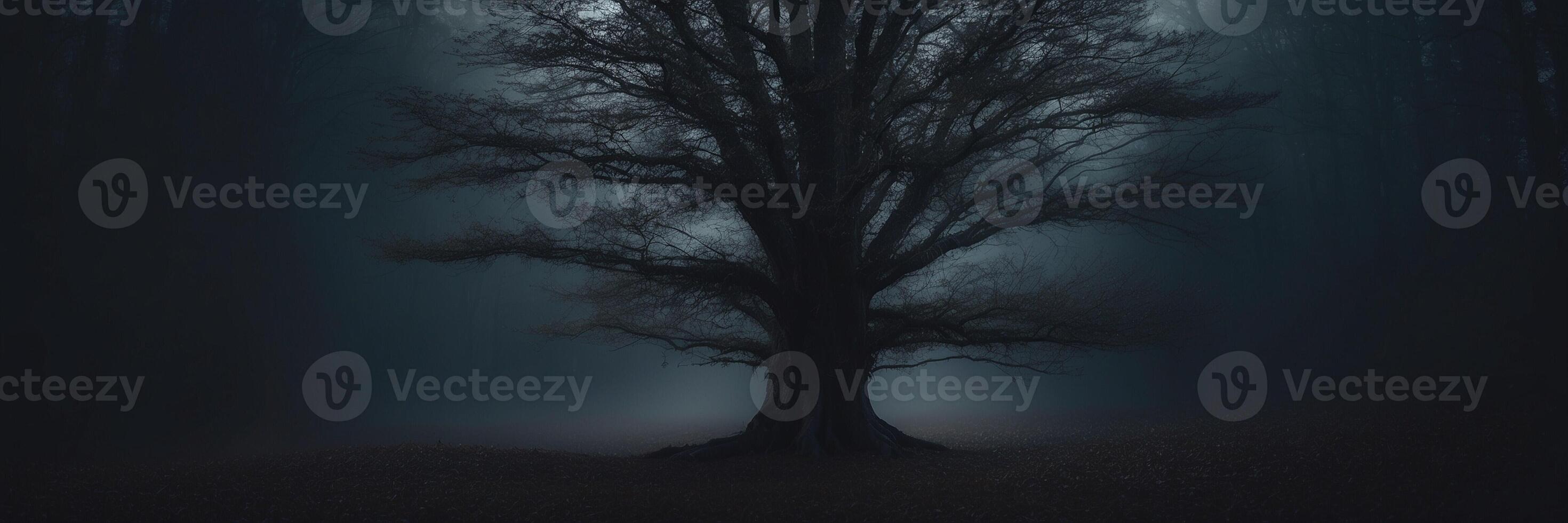 A dark tree in the middle of a forest photo
