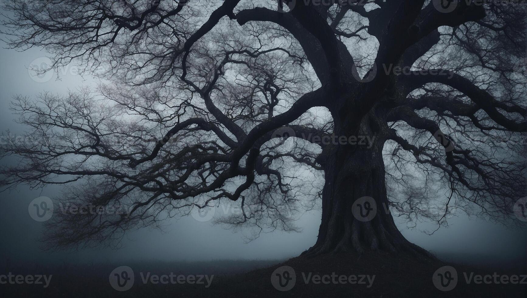 A large tree in the fog with no leaves photo