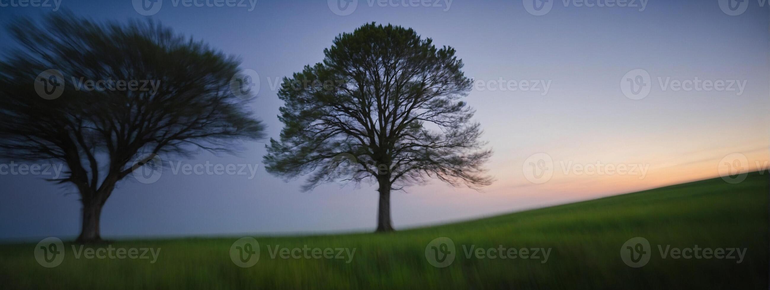 Two trees in motion on a grassy hill photo