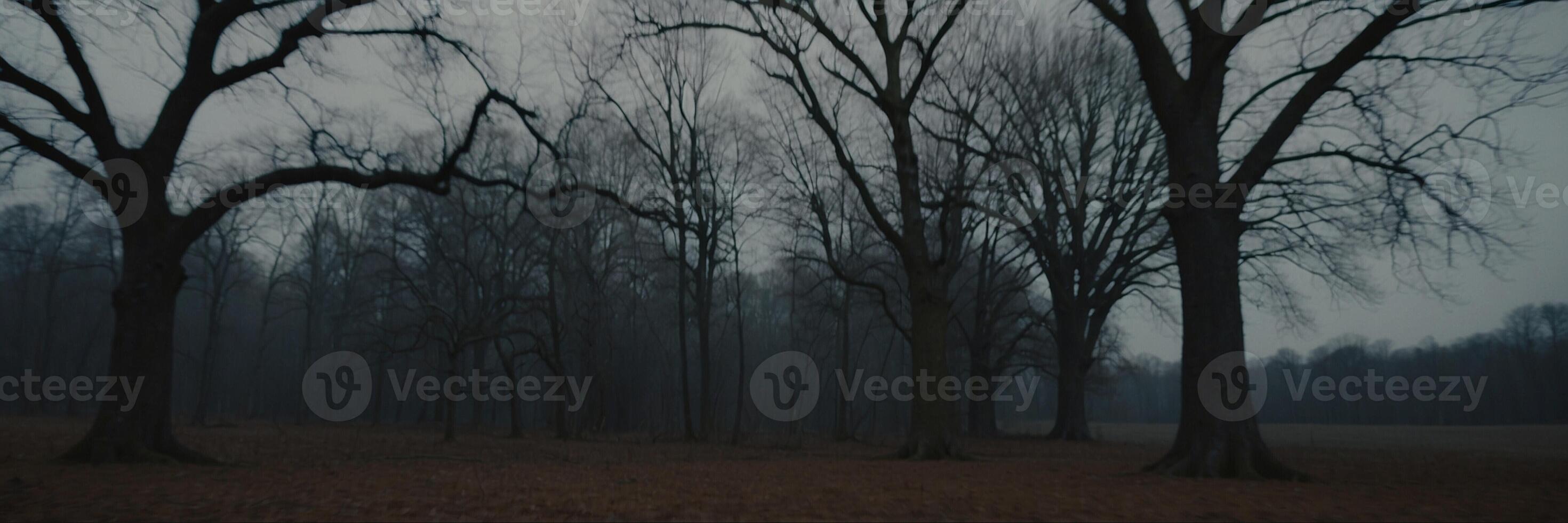 A dark and foggy forest with bare trees photo