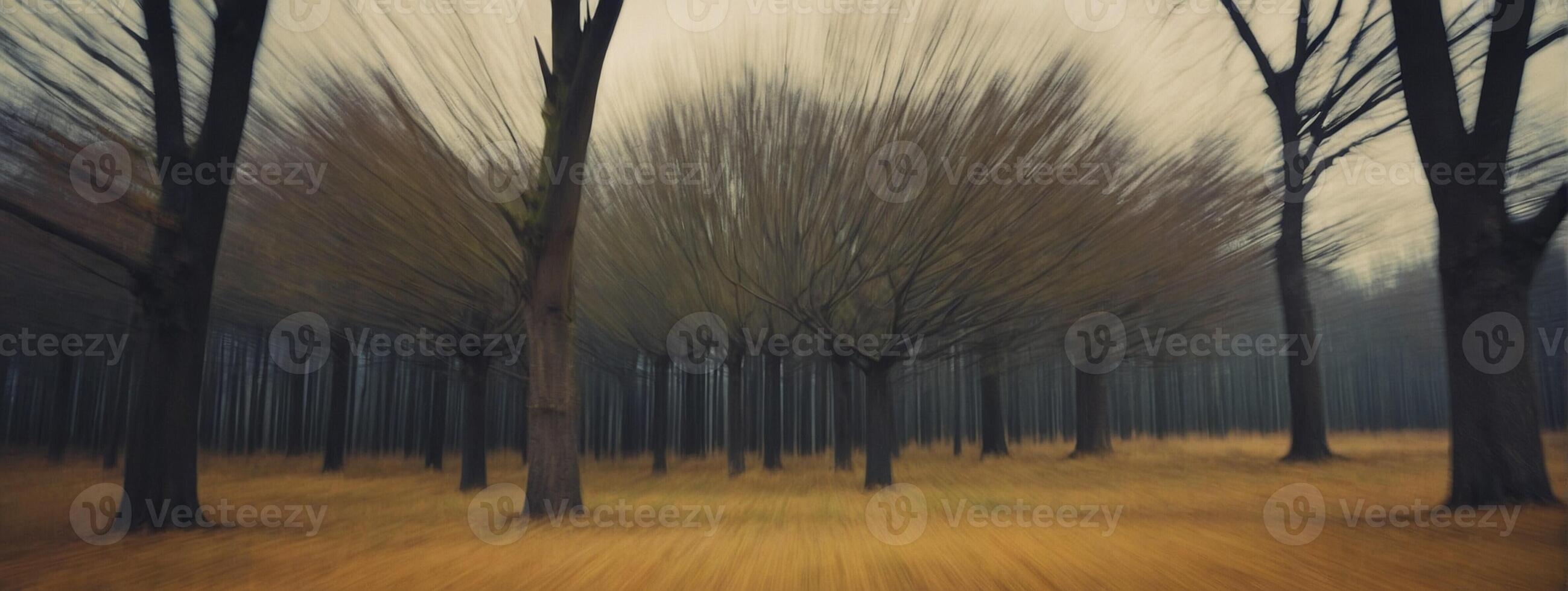 A blurry image of a forest with trees photo