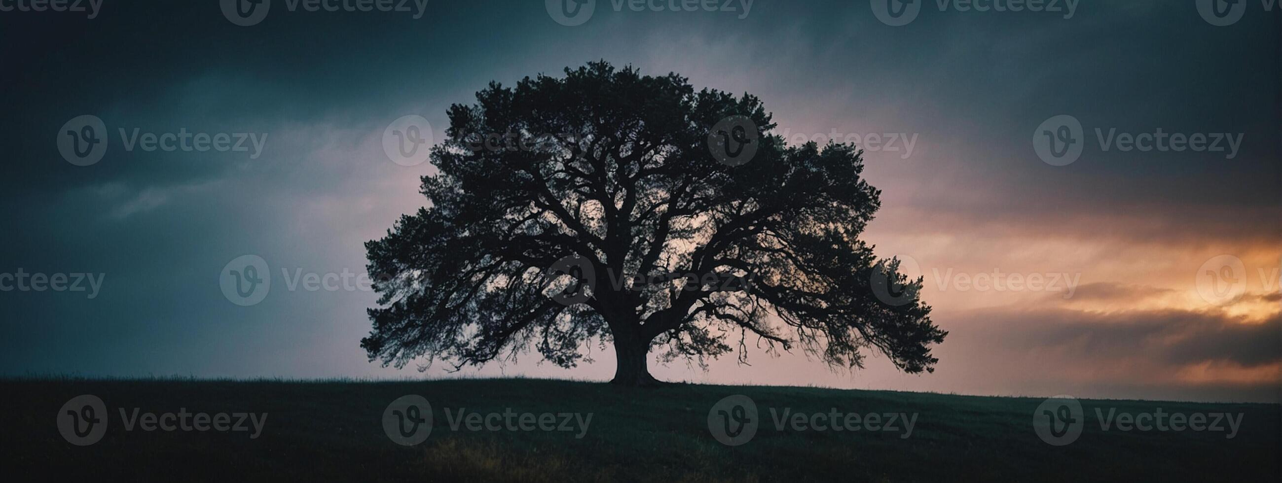 A lone tree stands in the middle of a field photo
