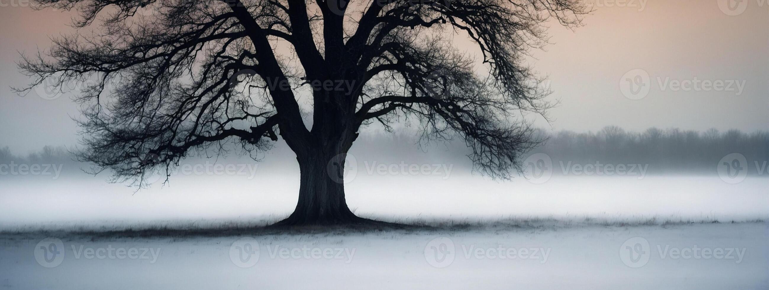 A lone tree stands in the fog on a snowy field photo