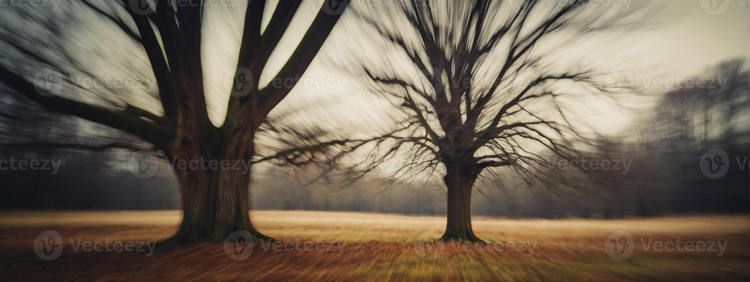 Two trees in a field with blurry motion photo