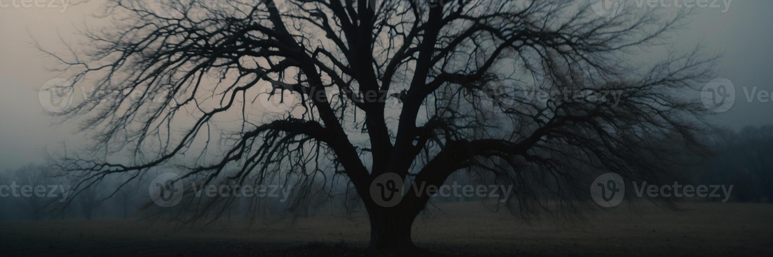 A tree in the fog with no leaves photo