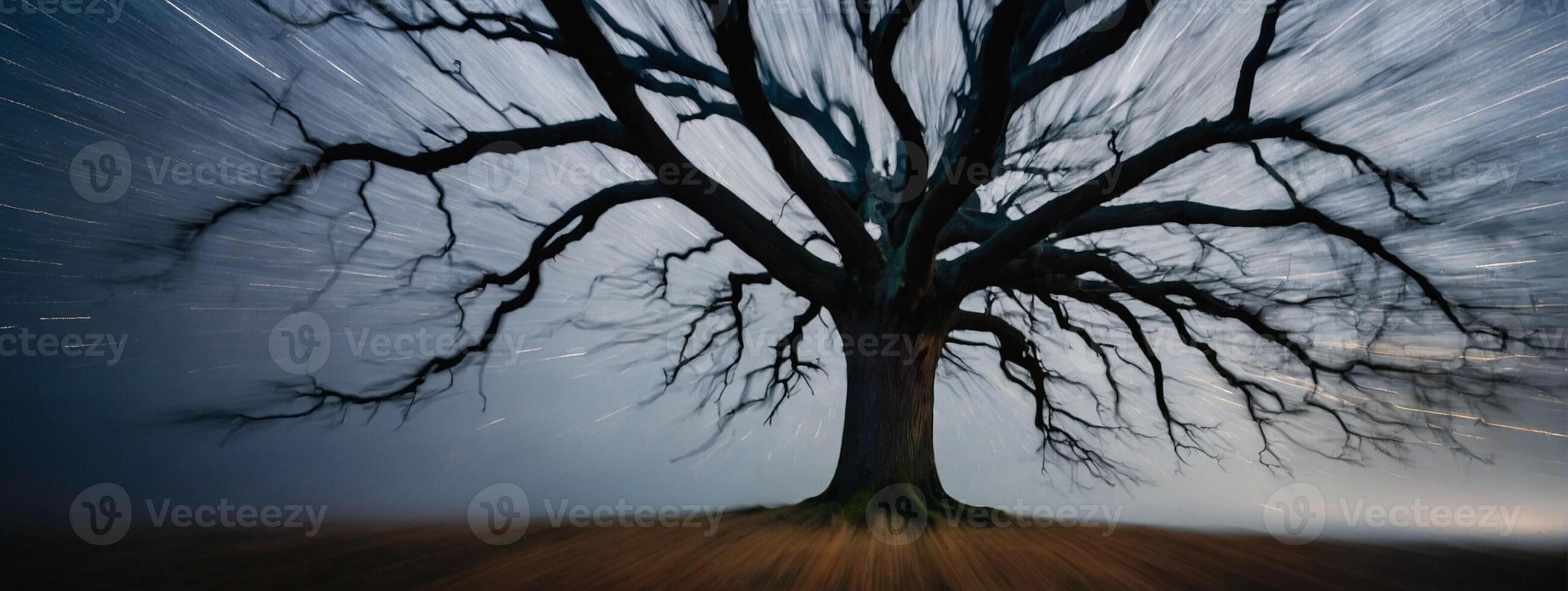 A long exposure photograph of a tree in the night photo