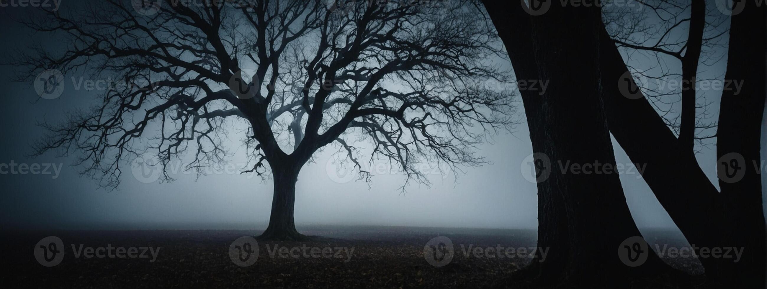 A lone tree in the foggy night photo