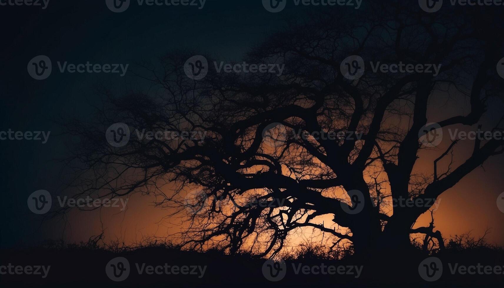 A tree silhouetted against the sky at night photo
