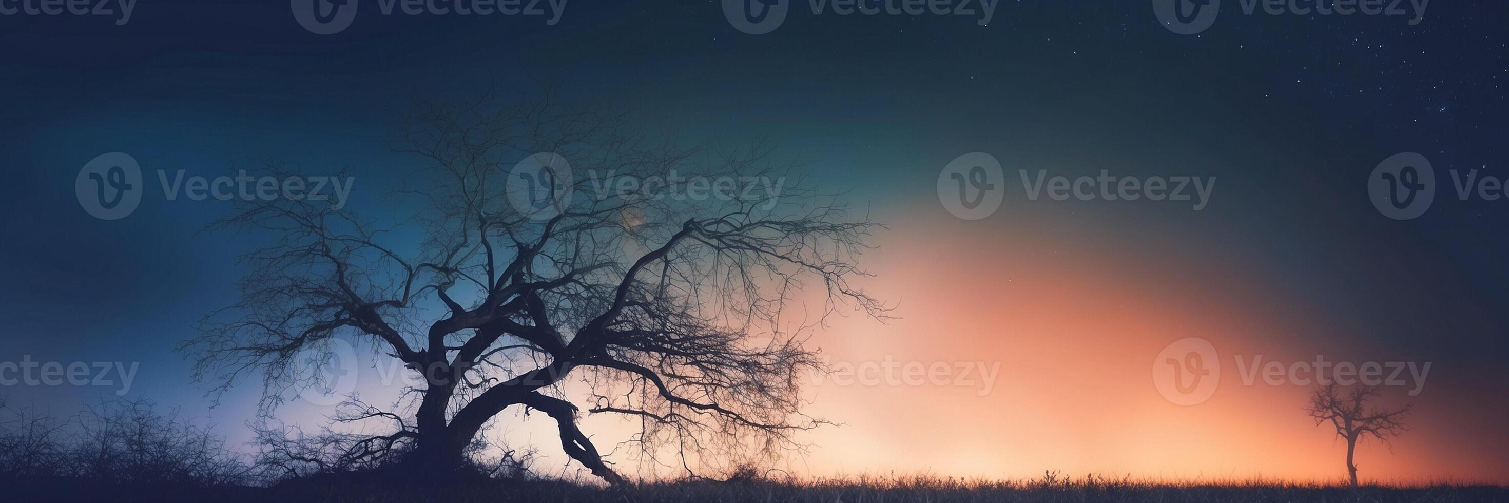 A tree in the middle of a field at night photo
