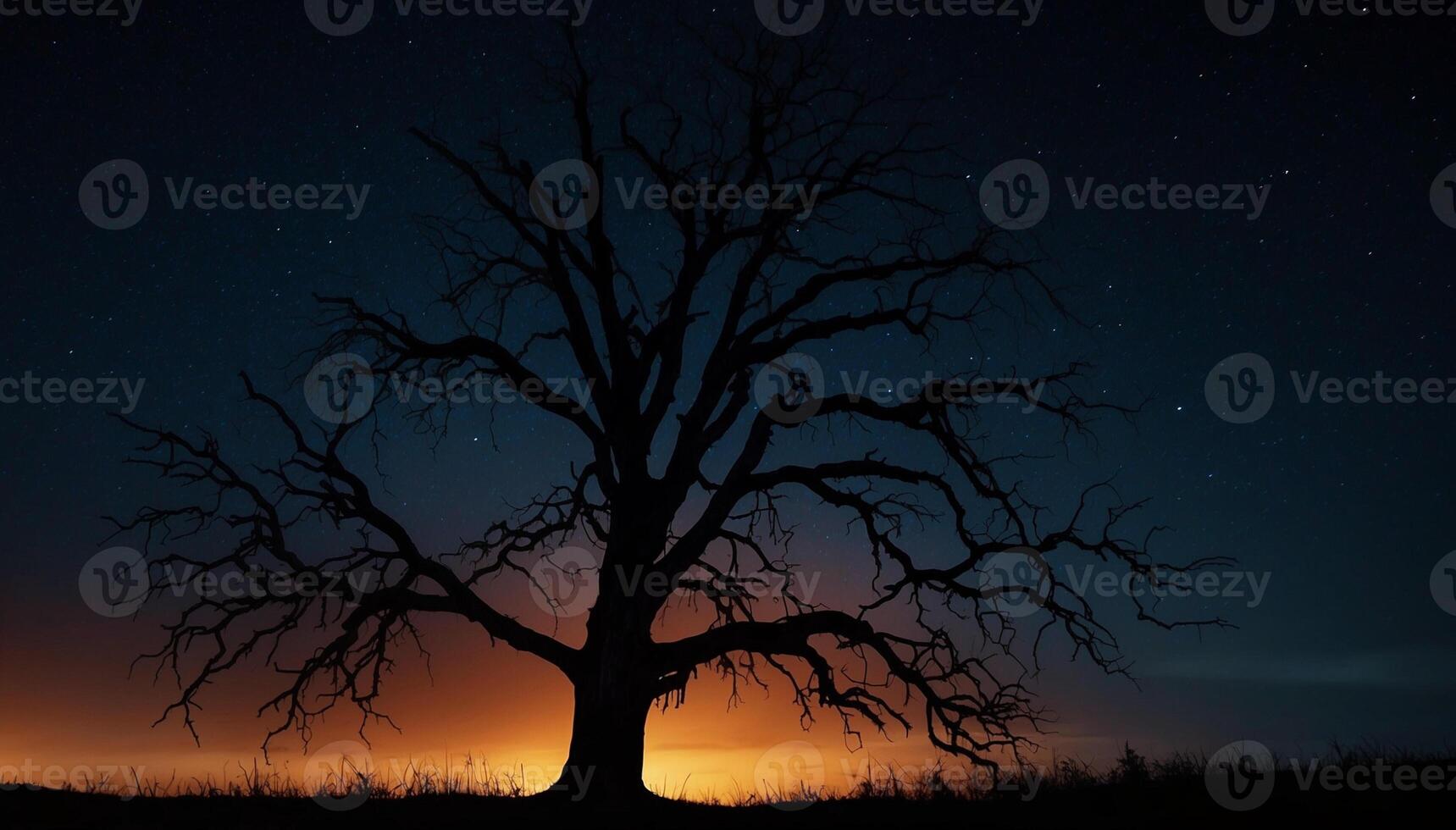 A tree silhouetted against the night sky photo