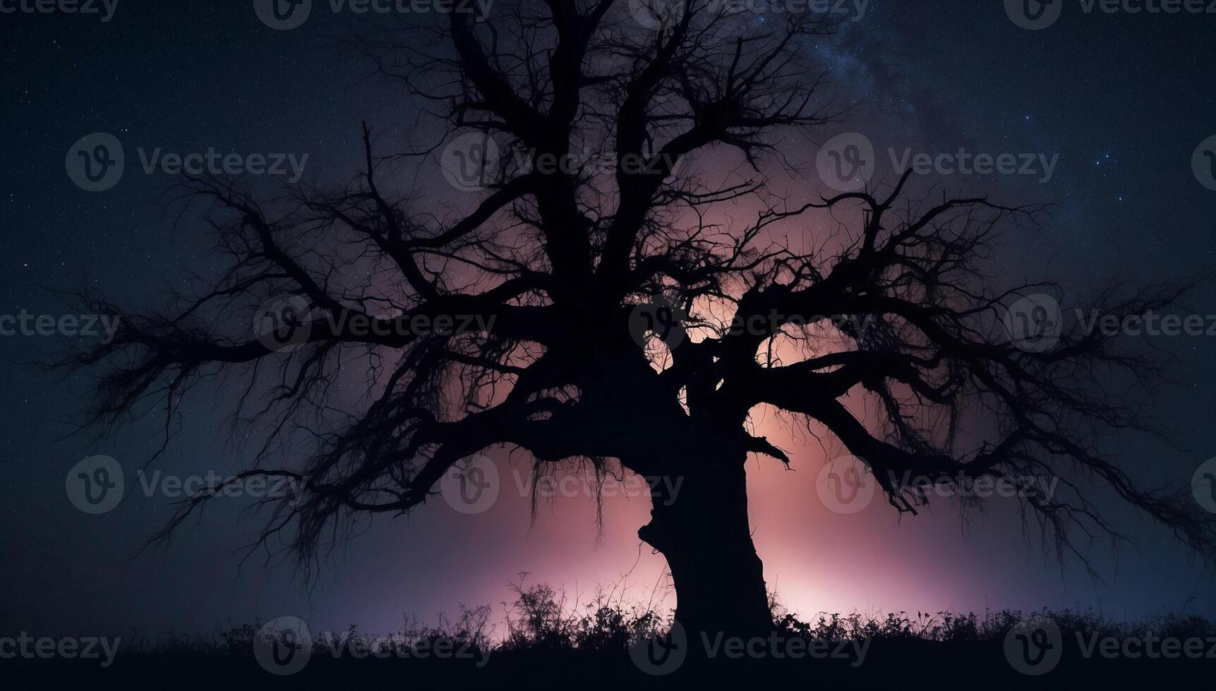 A tree in the night with a star in the sky photo