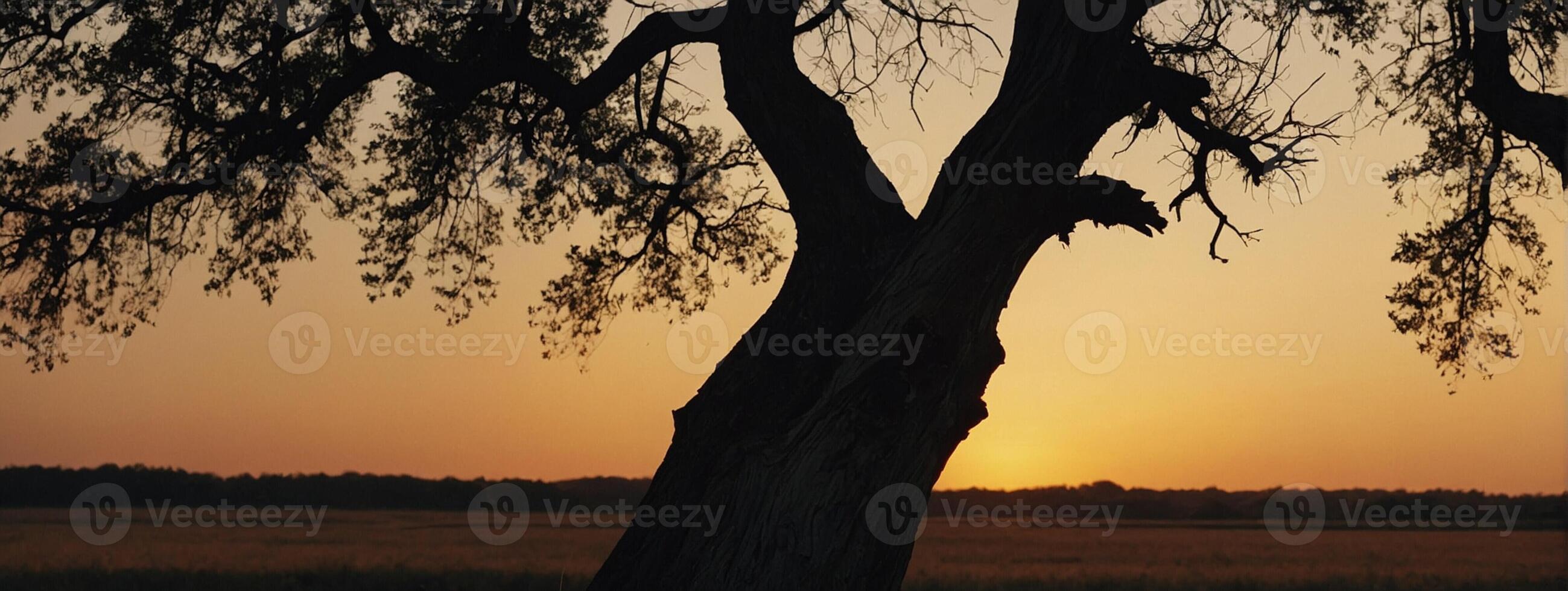 A tree with a bird in the middle of the sky photo