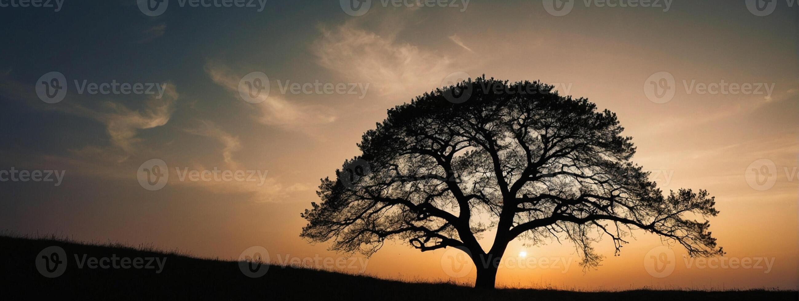 A lone tree stands in the middle of a field at sunset photo