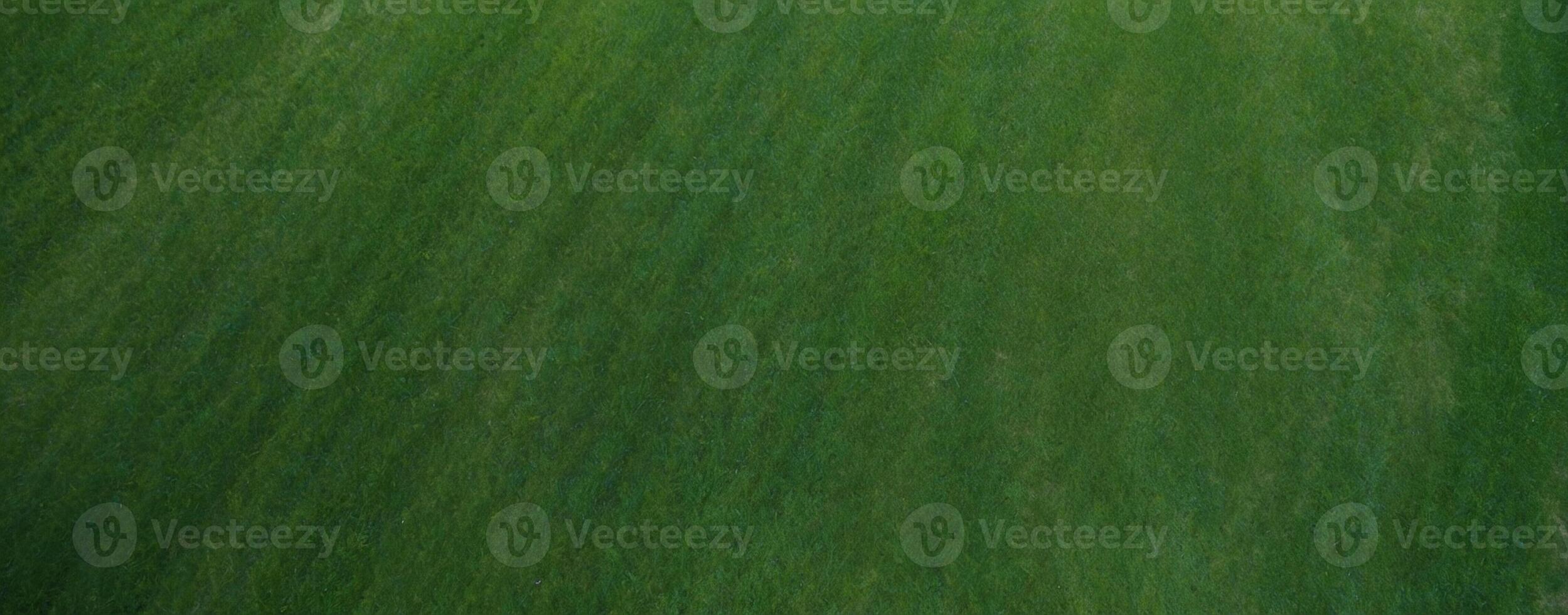 A man is standing on a grassy field photo