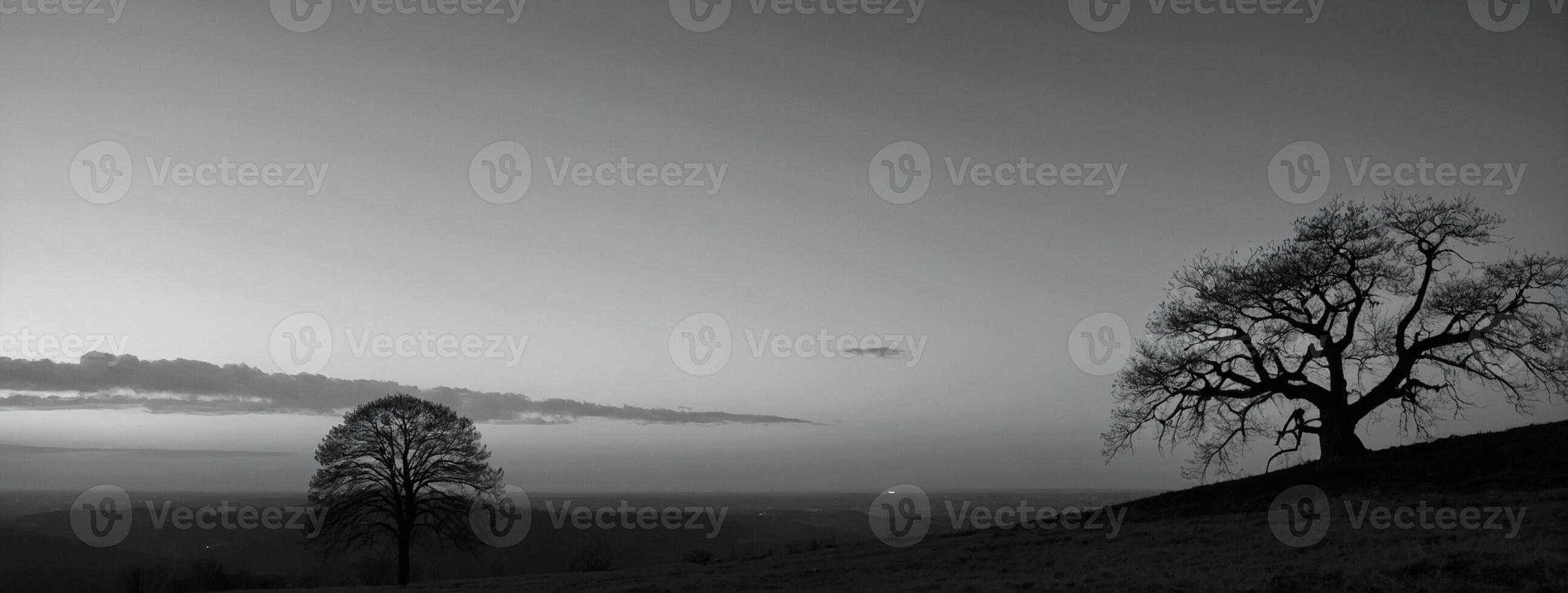 Black and white photo of trees on a hillside