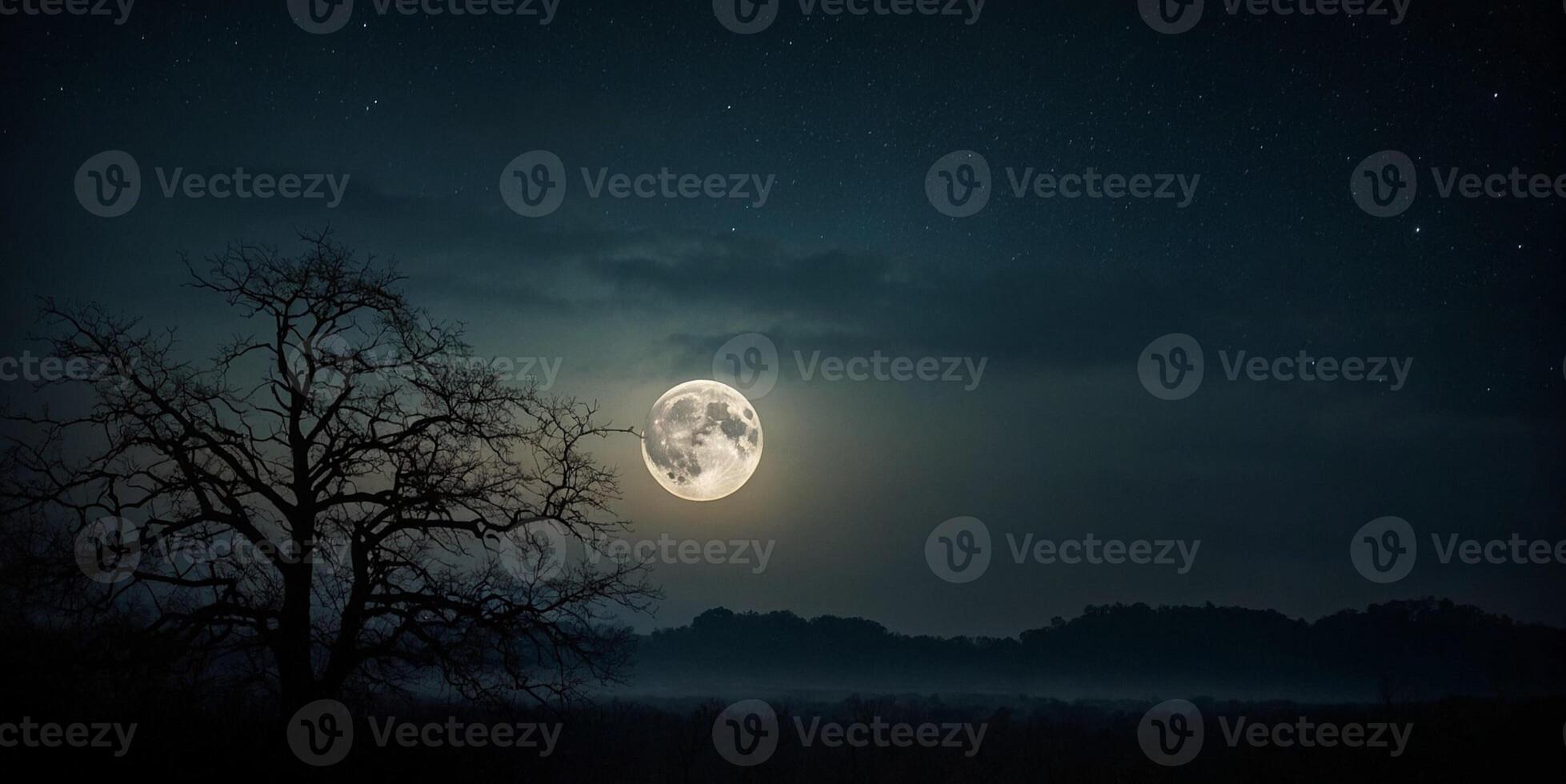 A full moon is seen over a tree in the night photo