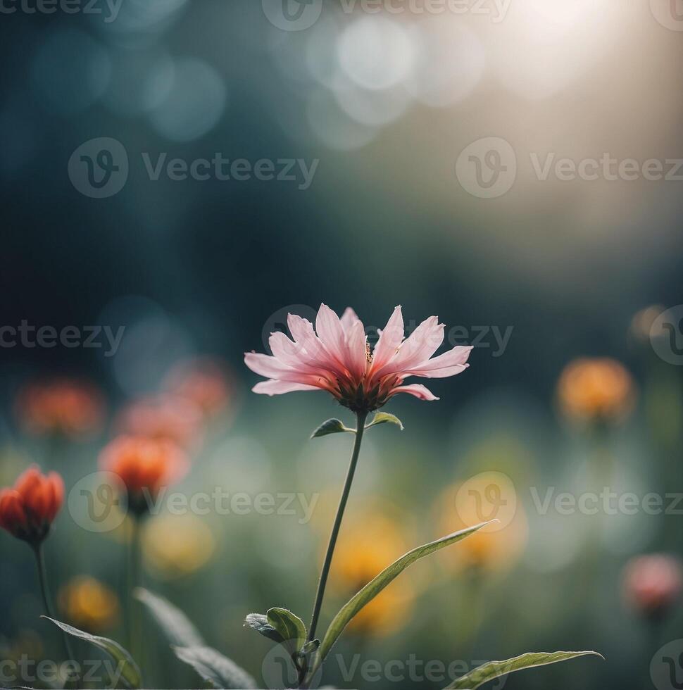 A pink flower is in the middle of a field photo
