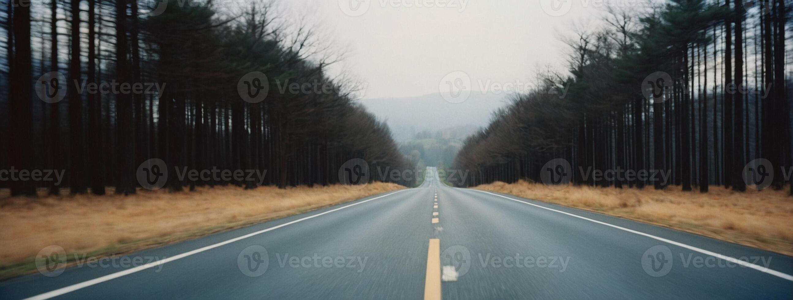 An empty road in the middle of a forest photo