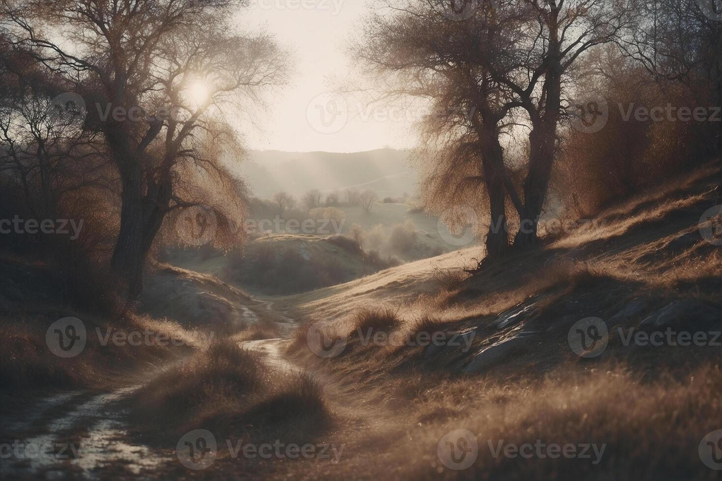 A dirt road in the middle of a field photo