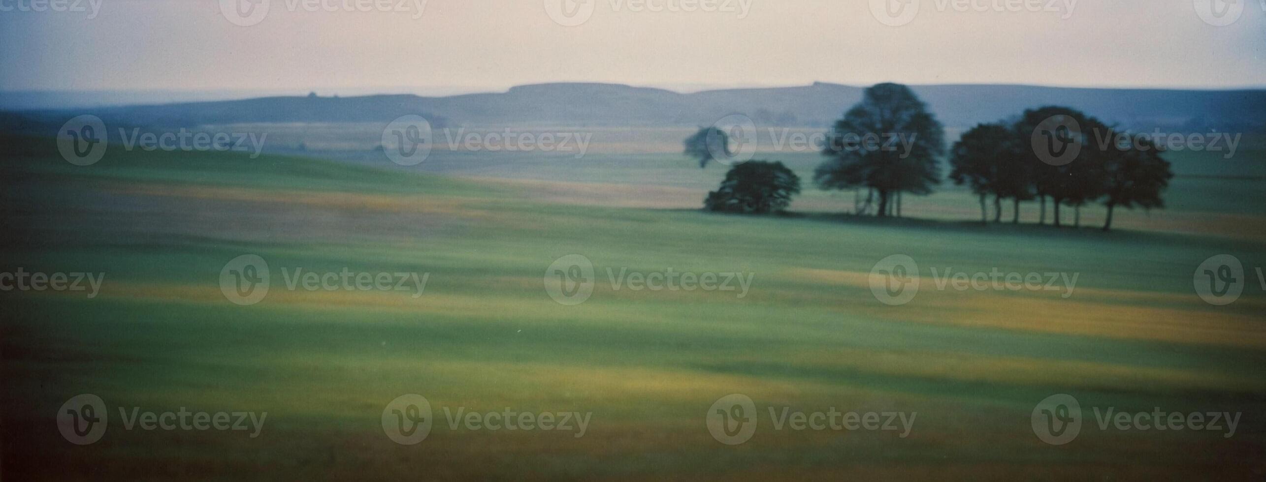 A field with trees and hills in the background photo