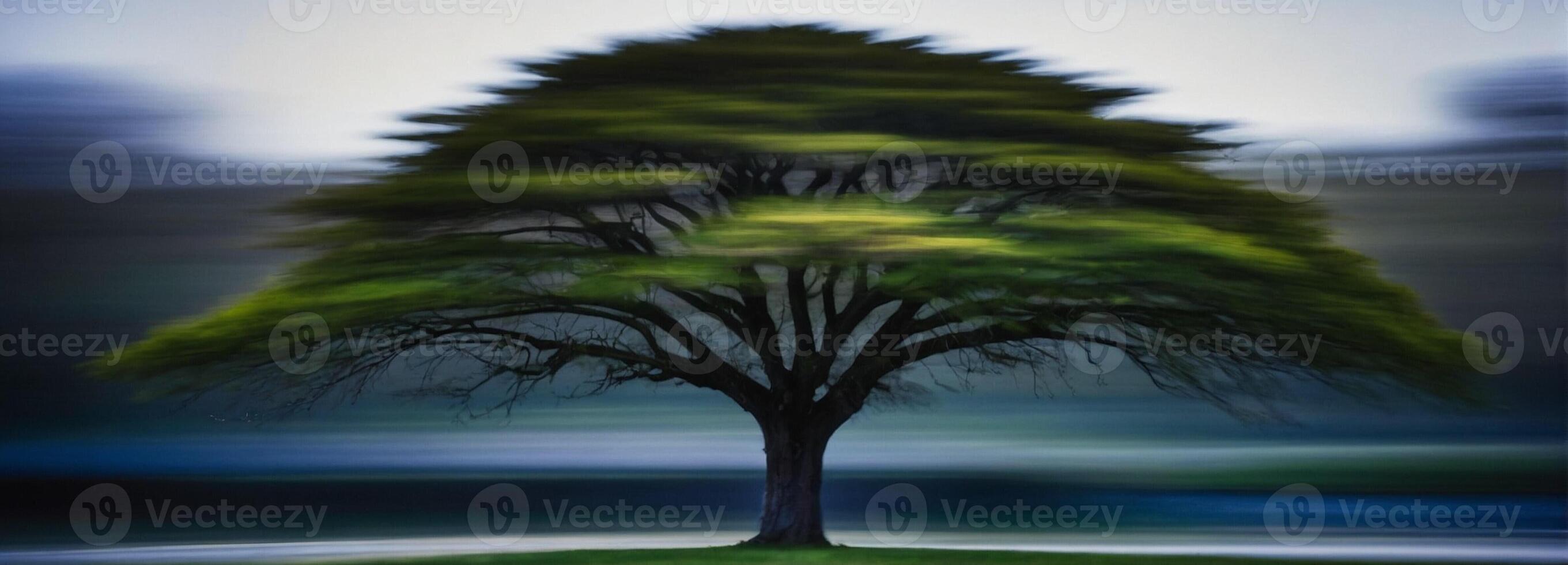 A blurry image of a tree in motion photo
