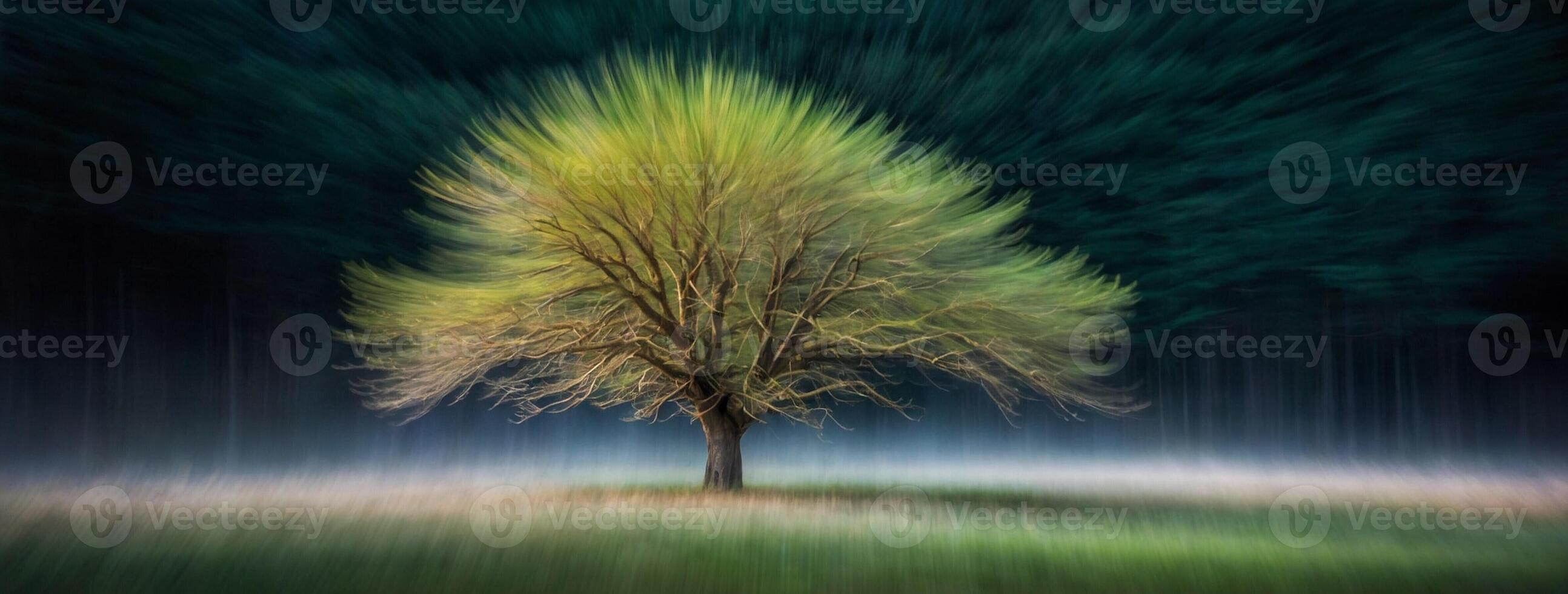 A blurry image of a tree in the middle of a field photo