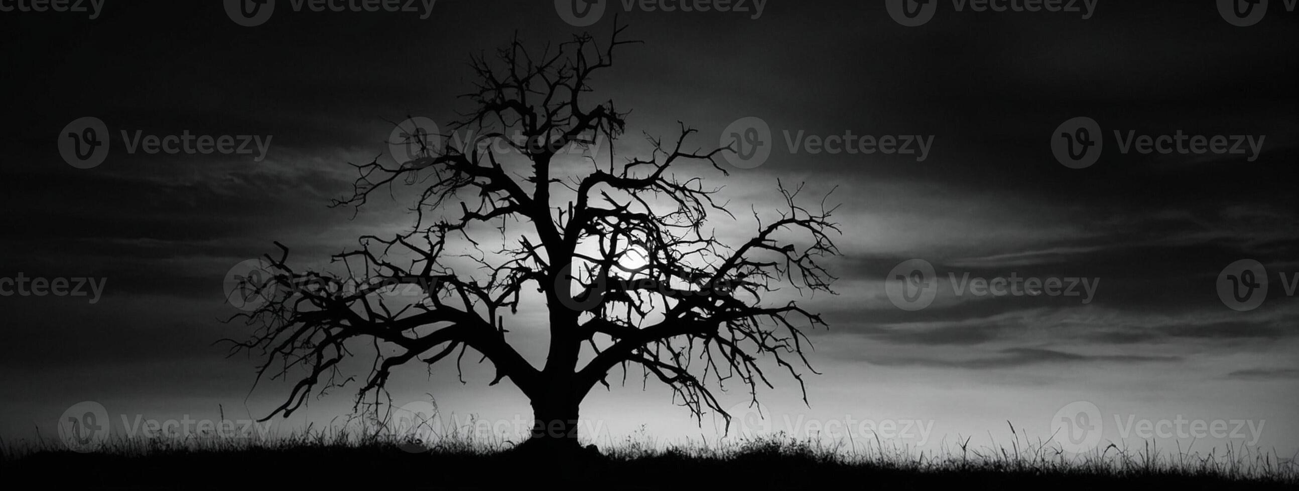 A black and white photo of a tree in the dark