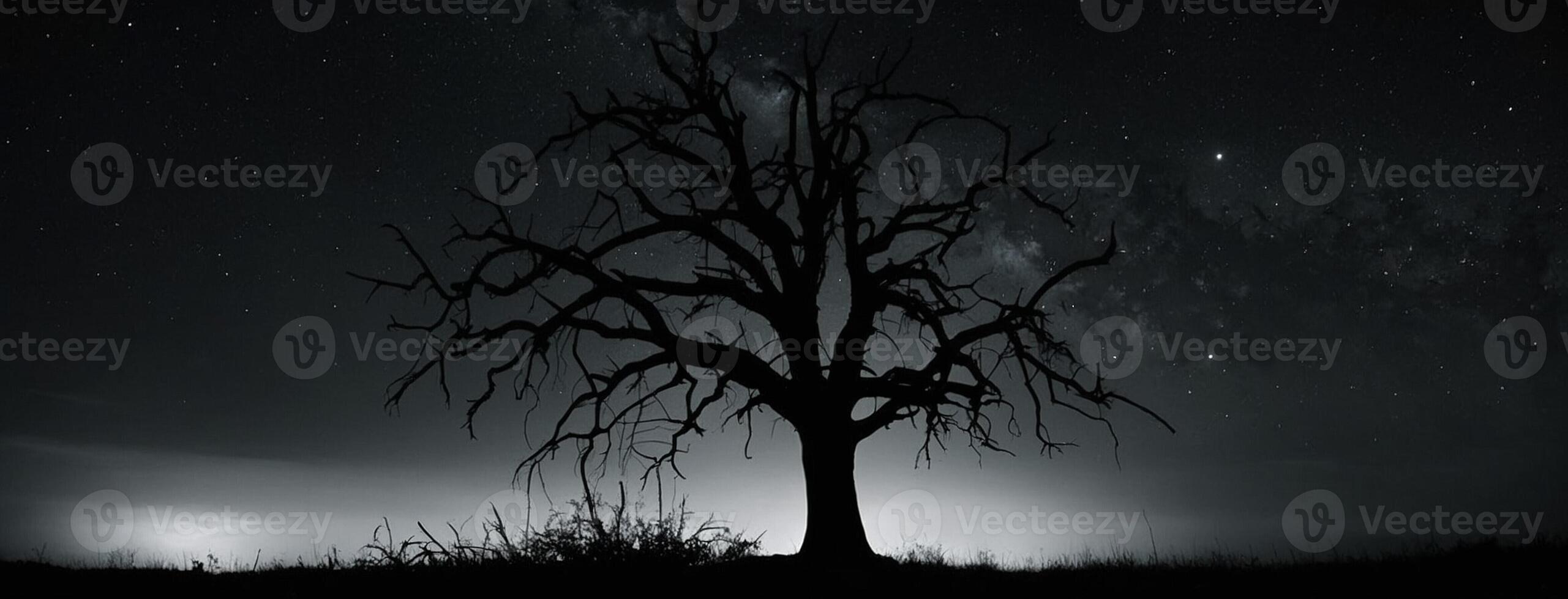 A lone tree stands in the middle of a field at night photo