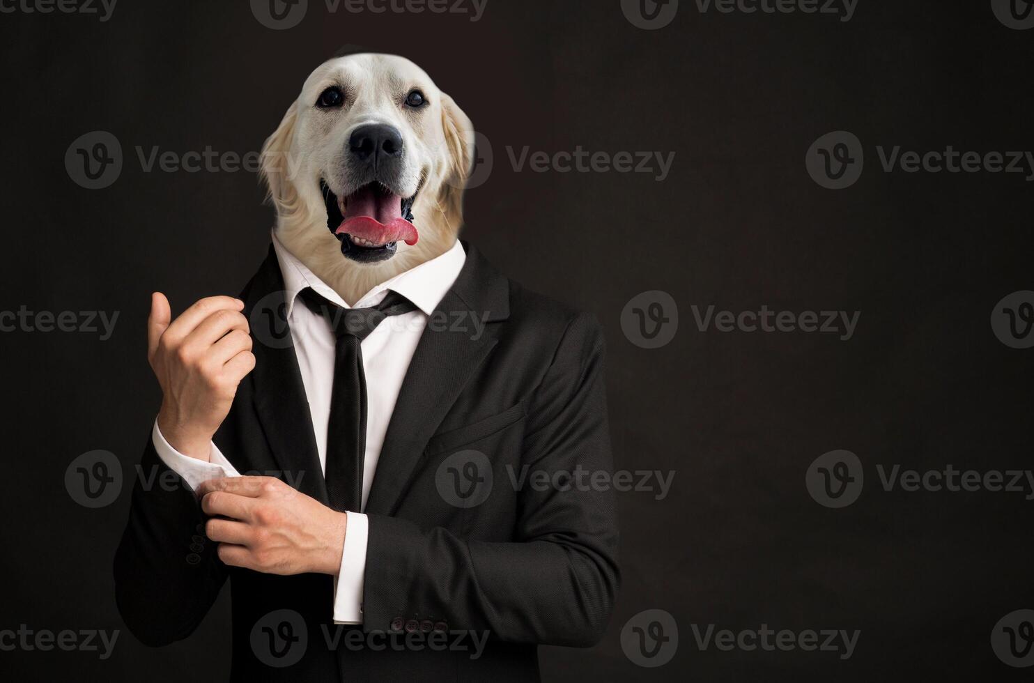 A man dressed in a sharp black suit adjusts his cufflinks while displaying a comical golden retriever head instead of his own. Contrasting elements of formal attire and the playful canine, copy space photo