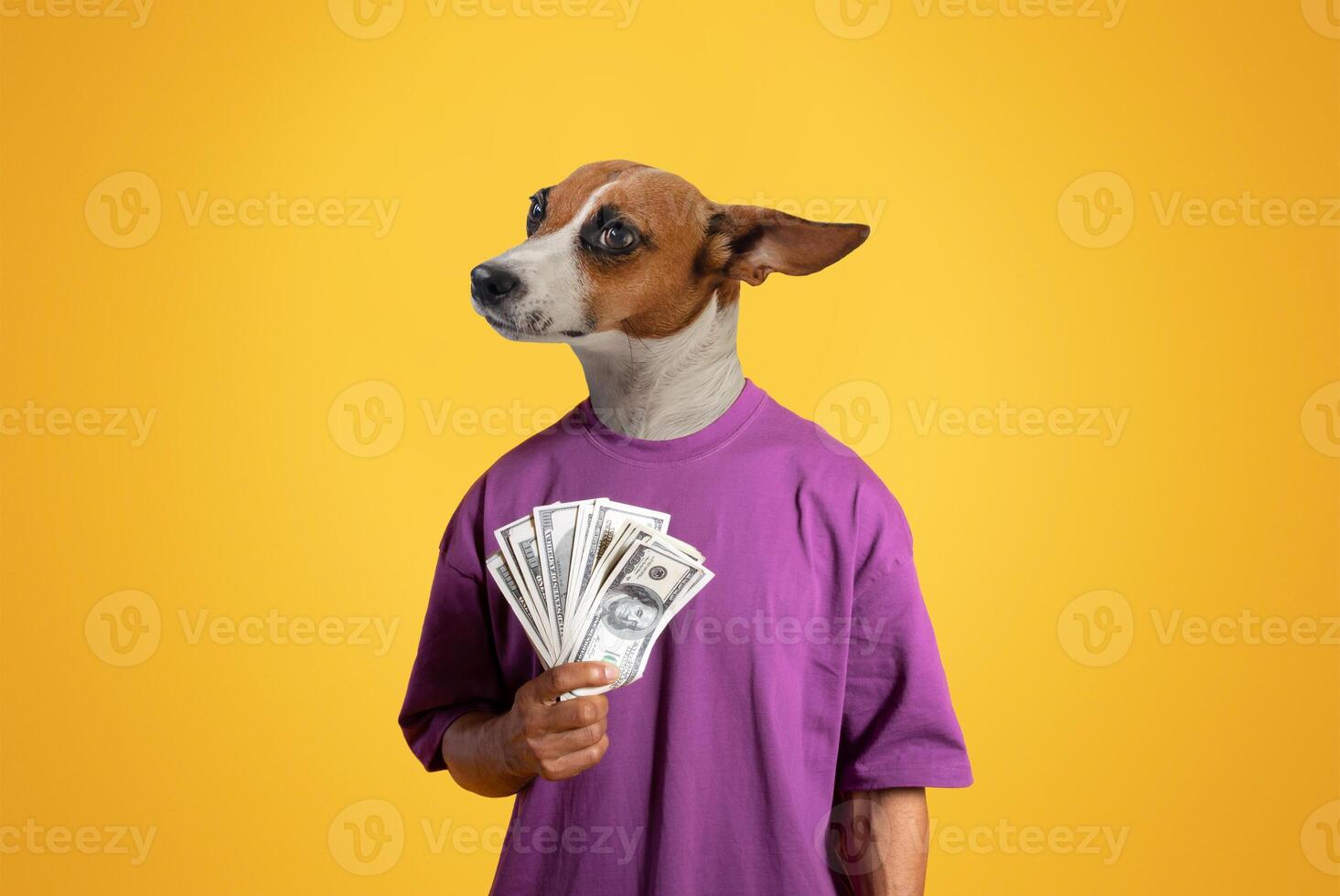 A playful dog stands upright, holding several bills in its paw. Dressed in a loose-fitting purple shirt, the dog expression combines curiosity and mischief against a cheerful yellow backdrop photo