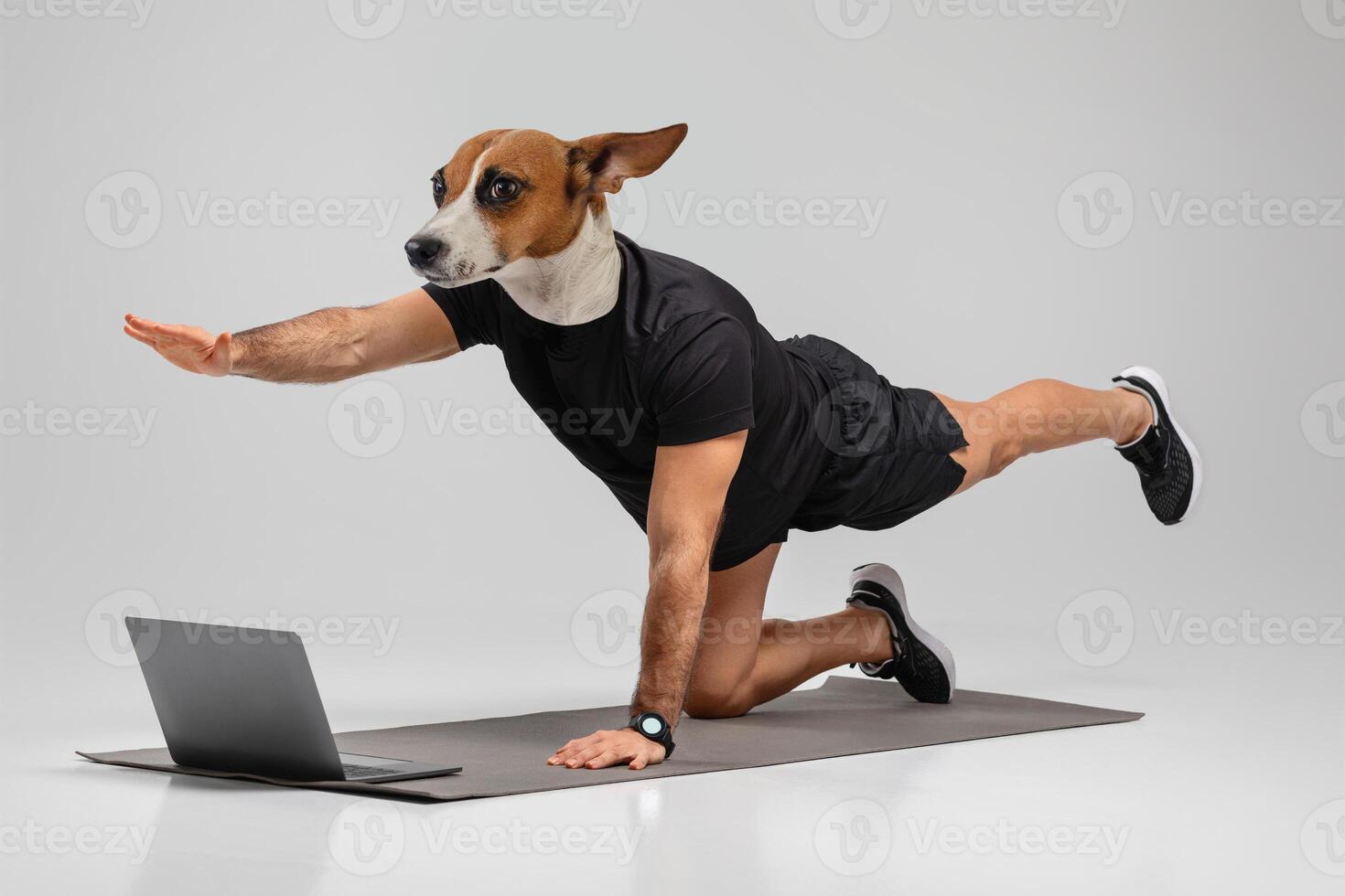 A man with a dog head is doing the bird dog exercise on a grey yoga mat, with his right arm outstretched and his left leg raised, while looking at a laptop that is lying open on the mat. photo