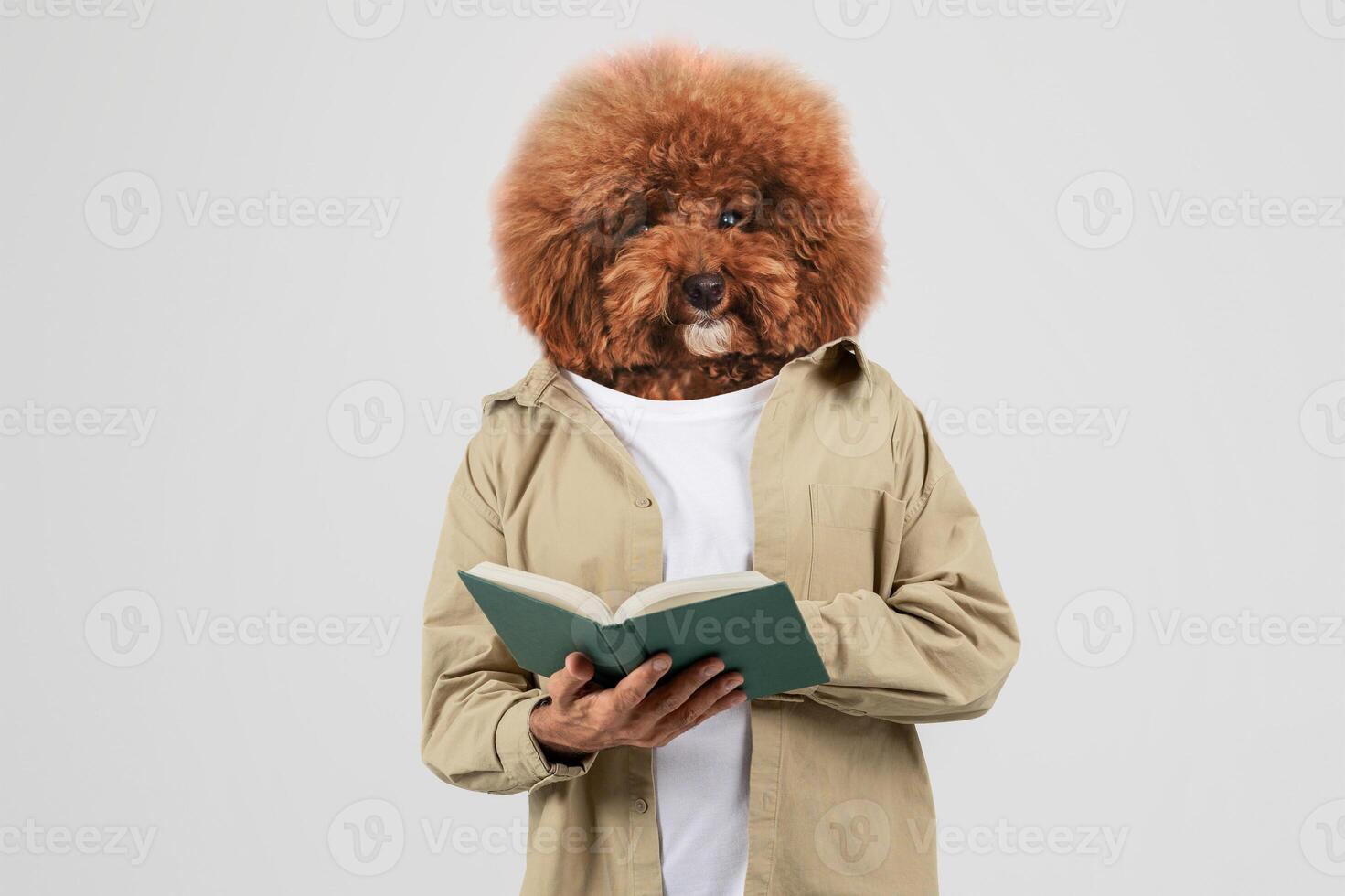 A person stands in a neutral-toned space, holding an open book while displaying a whimsical appearance with a fluffy dog's head instead of a human one photo
