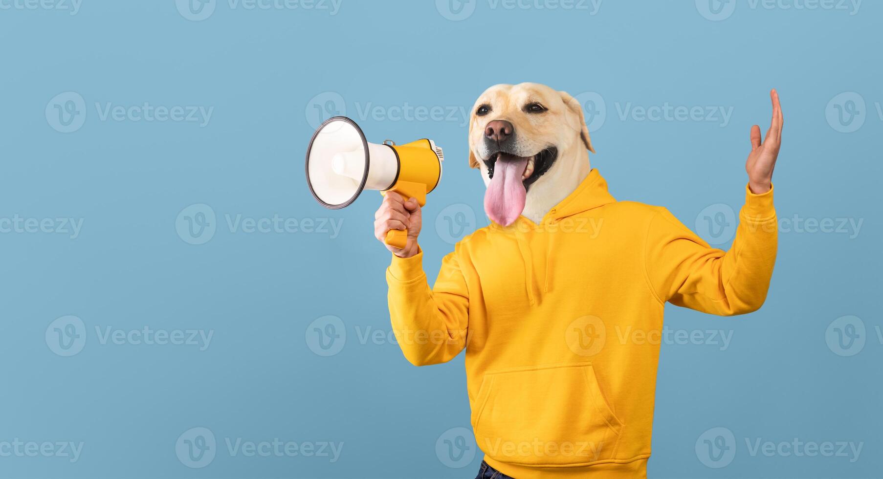 A cheerful dog, donning a vibrant yellow hoodie, enthusiastically holds a megaphone while standing against a soft light blue backdrop. The expression on the dog's face conveys excitement photo