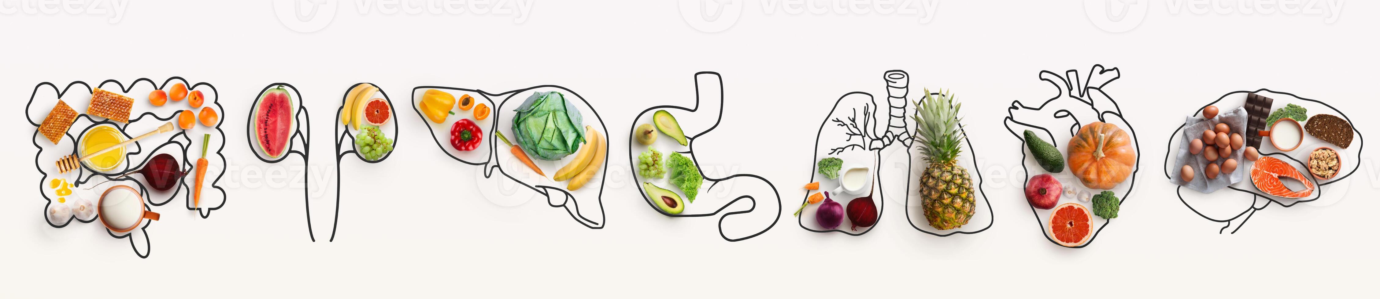 Best menu for healthy body. Collage with outlines of human internal organs and wholesome foods on white background, panorama photo
