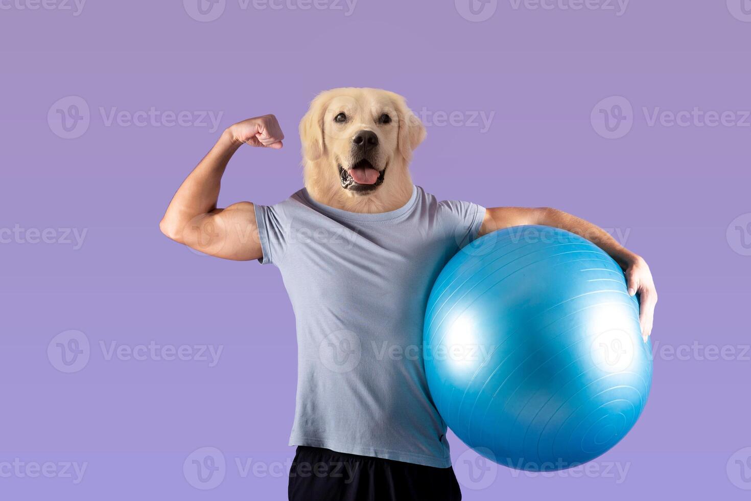 A humorous illustration depicts a muscular man with the head of a golden retriever flexing his bicep. He confidently holds a bright blue fitness ball under other arm against a soft purple background photo