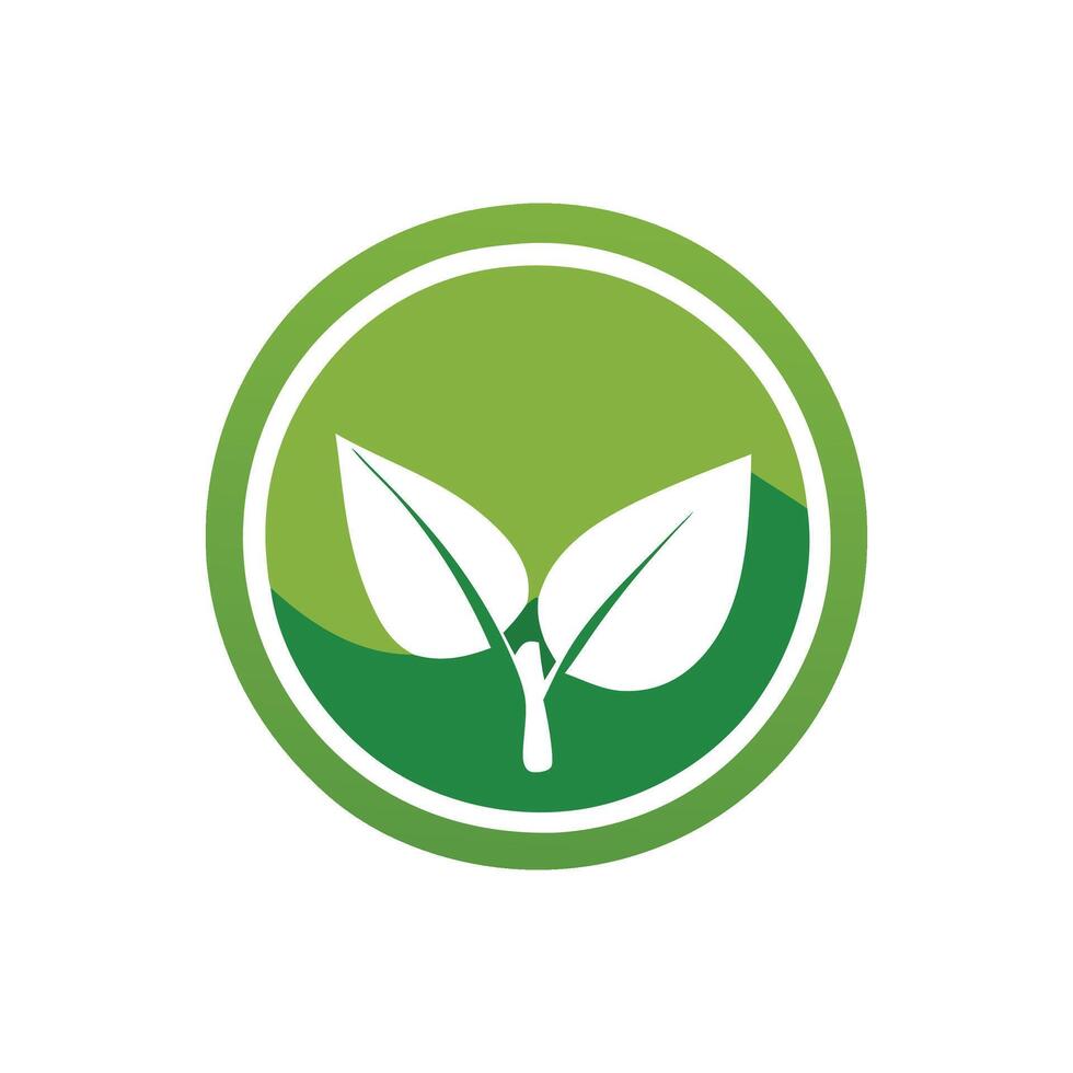 A green leaf logo on a white background vector