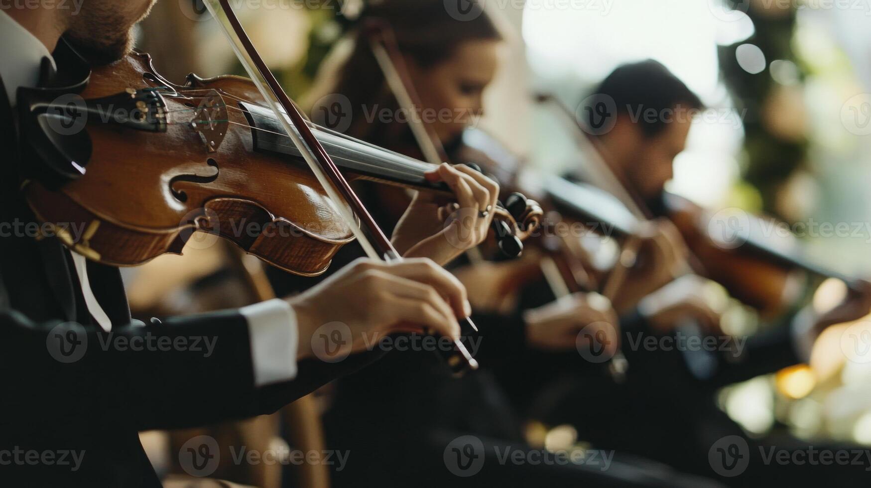 Skilled musicians perform a lively piece on violins in a beautifully decorated garden during a sunny afternoon. photo