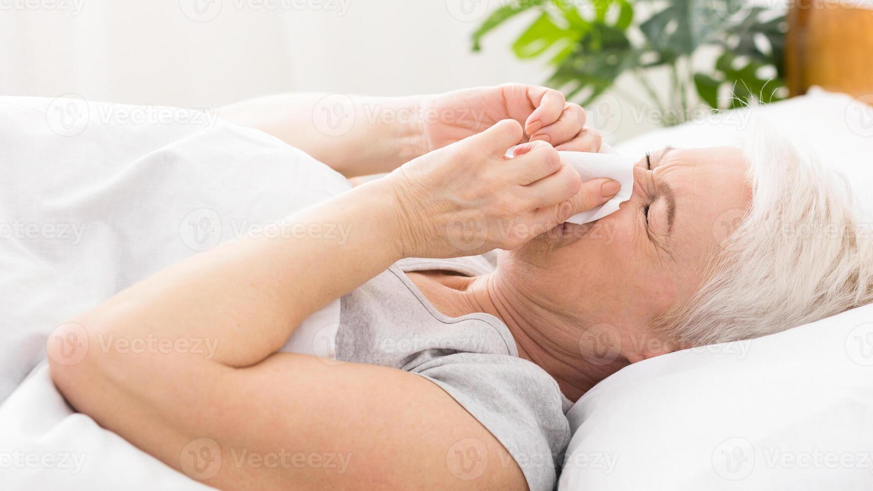 Seasonal flu. Senior woman covering nose with tissue, sneezing in bed, empty space photo