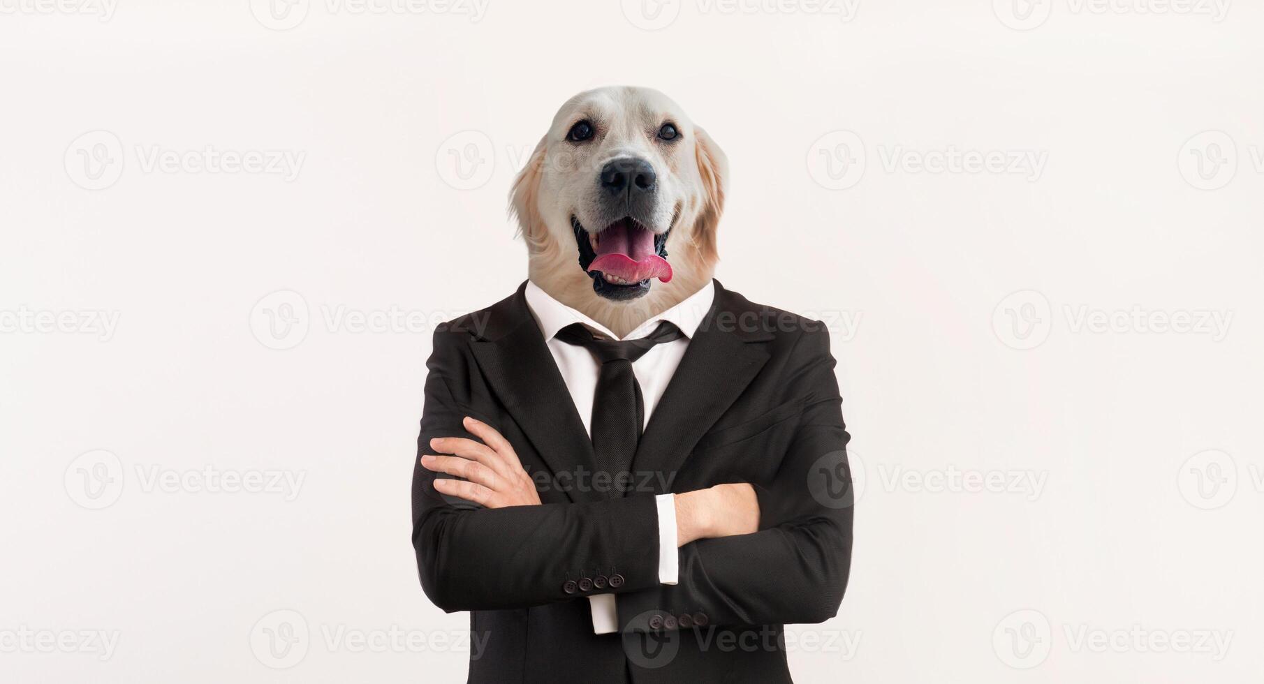 A well-dressed individual stands confidently with arms crossed, sporting the head of a golden retriever. The minimalist background highlights this unusual combination photo
