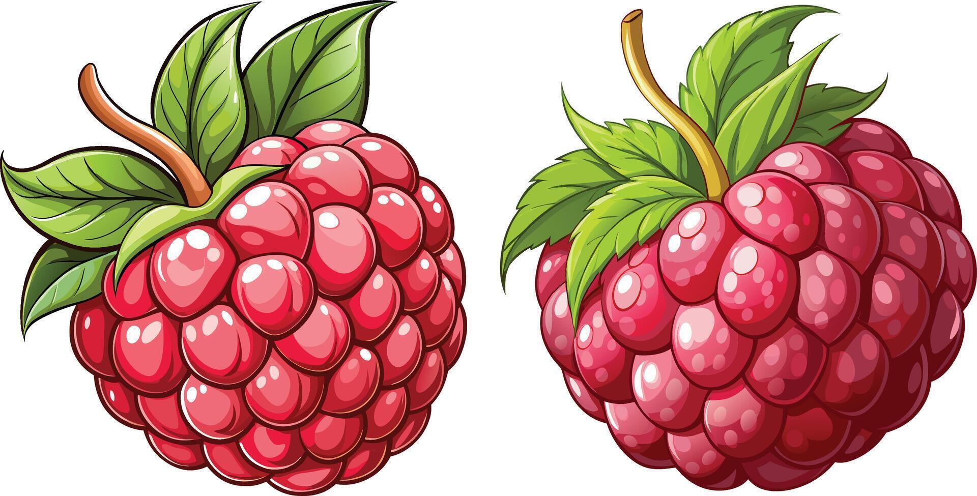 Raspberry 3d sticker design vector
