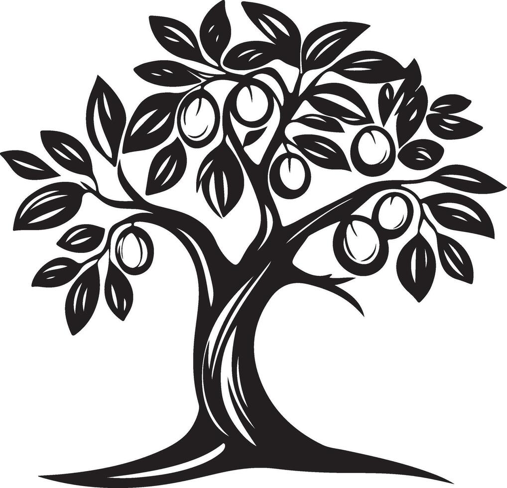 an olive tree with fruit on it vector