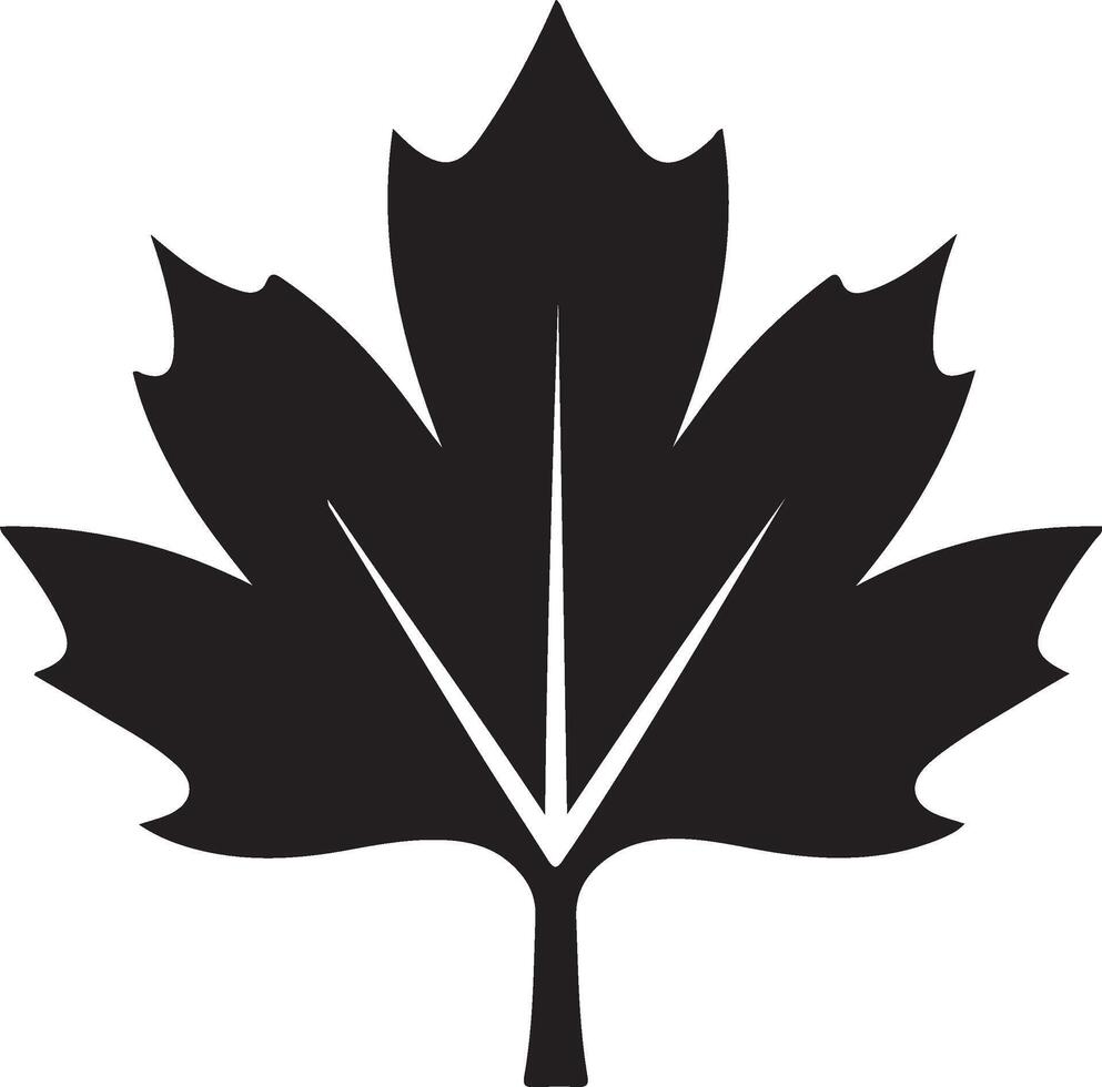 a black and white maple leaf icon vector