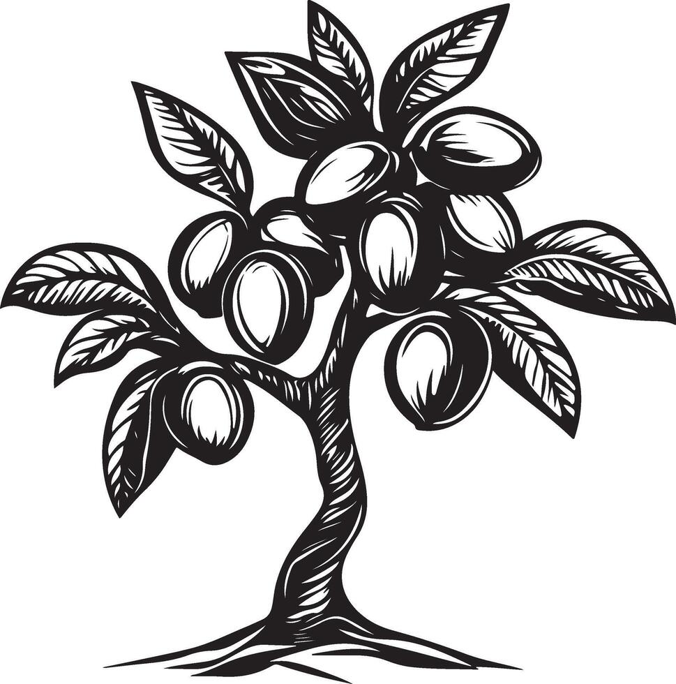 a black and white drawing of an almond tree vector