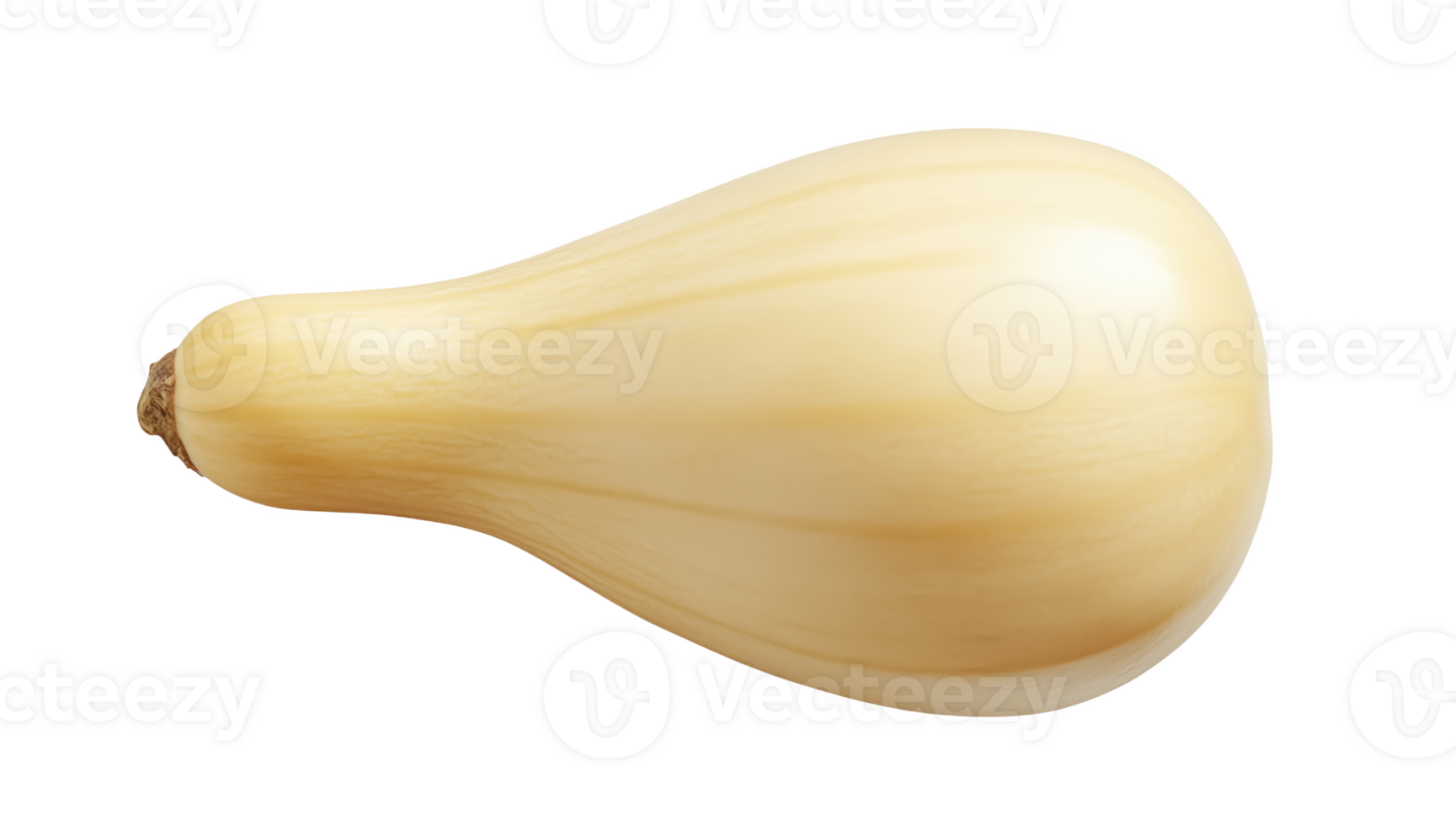 Exploring the smooth contours of a fresh butternut squash from a top view perspective png