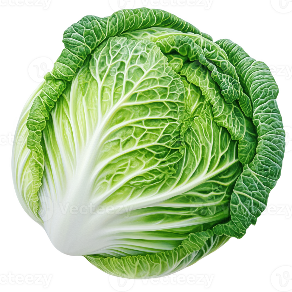 Vibrant cabbage resting on a smooth white surface, showcasing nature's intricate details png
