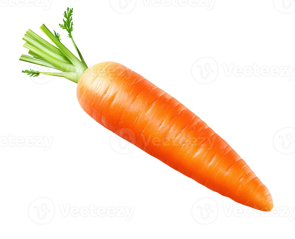 Fresh and vibrant orange carrot isolated on a clean white background for culinary purposes png