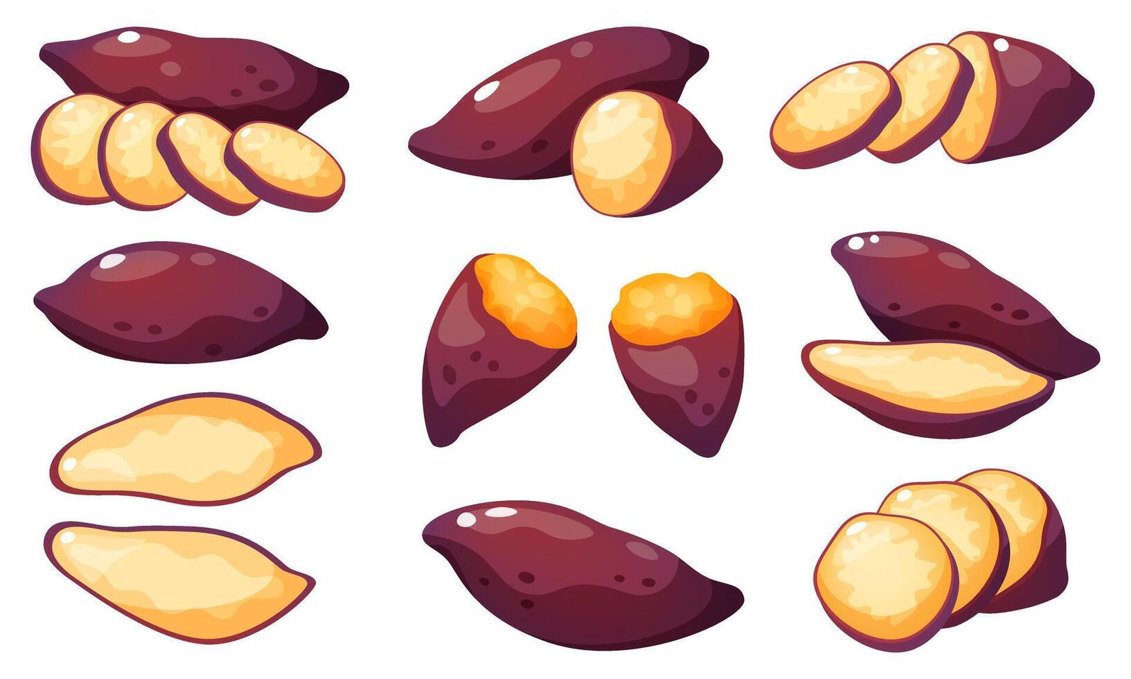 Set of sweet potato, yam. Vegetable with purple skin and light yellow interior, fresh, peeled, circles, slices, halves of sweet potato. vector